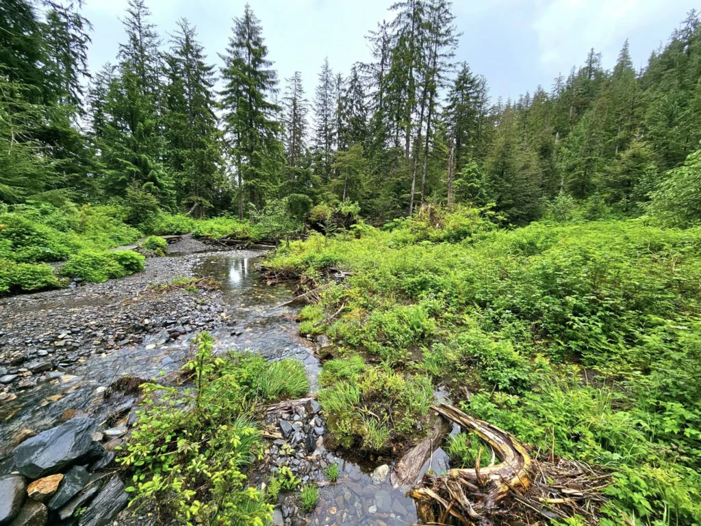 Cruising with Danny and Peter, Holland America Line, Westerdam, Ketchikan, Alaska, United States, Adventure History Thrills | A vibrant collage capturing the Ketchikan Adventure Tour in Alaska, featuring a dynamic log-rolling contest at the Great Alaskan Lumberjack Show with lumberjacks in plaid shirts balancing on a floating log, a rugged UTV navigating a muddy trail through the Tongass National Forest with George Inlet Fjords’ turquoise waters in view, a serene scenic cruise along the Inside Passage with a bald eagle soaring above mist-covered mountains, and a cozy scene at George Inlet Lodge with a rustic table set with craft beers, creamy crab chowder, hot Dungeness crab, and blueberry cheesecake. In the background, Ketchikan’s historic Creek Street showcases colorful buildings on stilts and a Tlingit totem pole, framed by lush greenery and rugged Alaskan peaks, embodying the city’s thrilling adventures and rich cultural heritage.