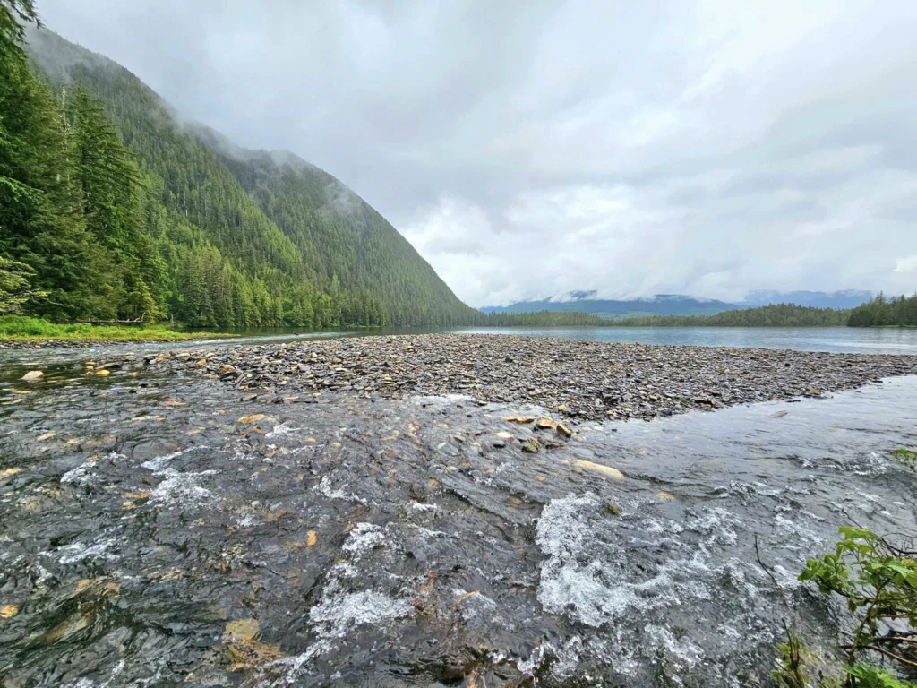 Cruising with Danny and Peter, Holland America Line, Westerdam, Ketchikan, Alaska, United States, Adventure History Thrills | A vibrant collage capturing the Ketchikan Adventure Tour in Alaska, featuring a dynamic log-rolling contest at the Great Alaskan Lumberjack Show with lumberjacks in plaid shirts balancing on a floating log, a rugged UTV navigating a muddy trail through the Tongass National Forest with George Inlet Fjords’ turquoise waters in view, a serene scenic cruise along the Inside Passage with a bald eagle soaring above mist-covered mountains, and a cozy scene at George Inlet Lodge with a rustic table set with craft beers, creamy crab chowder, hot Dungeness crab, and blueberry cheesecake. In the background, Ketchikan’s historic Creek Street showcases colorful buildings on stilts and a Tlingit totem pole, framed by lush greenery and rugged Alaskan peaks, embodying the city’s thrilling adventures and rich cultural heritage.