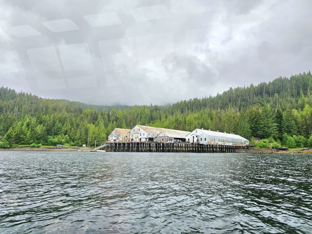 Cruising with Danny and Peter, Holland America Line, Westerdam, Ketchikan, Alaska, United States, Adventure History Thrills | A vibrant collage capturing the Ketchikan Adventure Tour in Alaska, featuring a dynamic log-rolling contest at the Great Alaskan Lumberjack Show with lumberjacks in plaid shirts balancing on a floating log, a rugged UTV navigating a muddy trail through the Tongass National Forest with George Inlet Fjords’ turquoise waters in view, a serene scenic cruise along the Inside Passage with a bald eagle soaring above mist-covered mountains, and a cozy scene at George Inlet Lodge with a rustic table set with craft beers, creamy crab chowder, hot Dungeness crab, and blueberry cheesecake. In the background, Ketchikan’s historic Creek Street showcases colorful buildings on stilts and a Tlingit totem pole, framed by lush greenery and rugged Alaskan peaks, embodying the city’s thrilling adventures and rich cultural heritage.