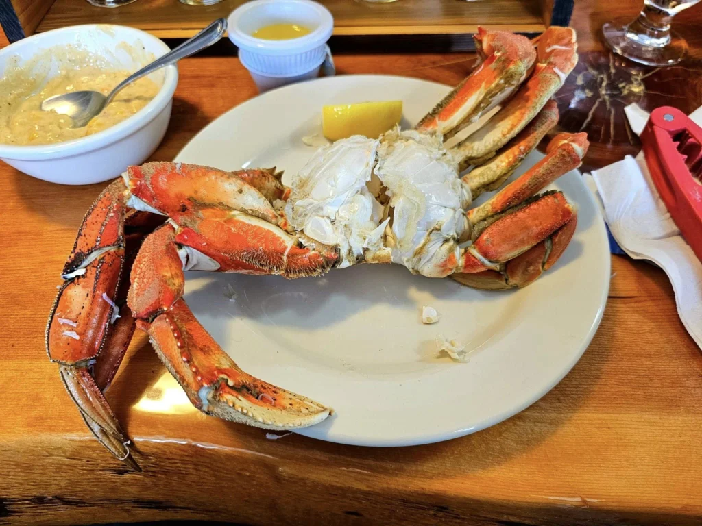 Cruising with Danny and Peter, Holland America Line, Westerdam, Ketchikan, Alaska, United States, Adventure History Thrills | A vibrant collage capturing the Ketchikan Adventure Tour in Alaska, featuring a dynamic log-rolling contest at the Great Alaskan Lumberjack Show with lumberjacks in plaid shirts balancing on a floating log, a rugged UTV navigating a muddy trail through the Tongass National Forest with George Inlet Fjords’ turquoise waters in view, a serene scenic cruise along the Inside Passage with a bald eagle soaring above mist-covered mountains, and a cozy scene at George Inlet Lodge with a rustic table set with craft beers, creamy crab chowder, hot Dungeness crab, and blueberry cheesecake. In the background, Ketchikan’s historic Creek Street showcases colorful buildings on stilts and a Tlingit totem pole, framed by lush greenery and rugged Alaskan peaks, embodying the city’s thrilling adventures and rich cultural heritage.