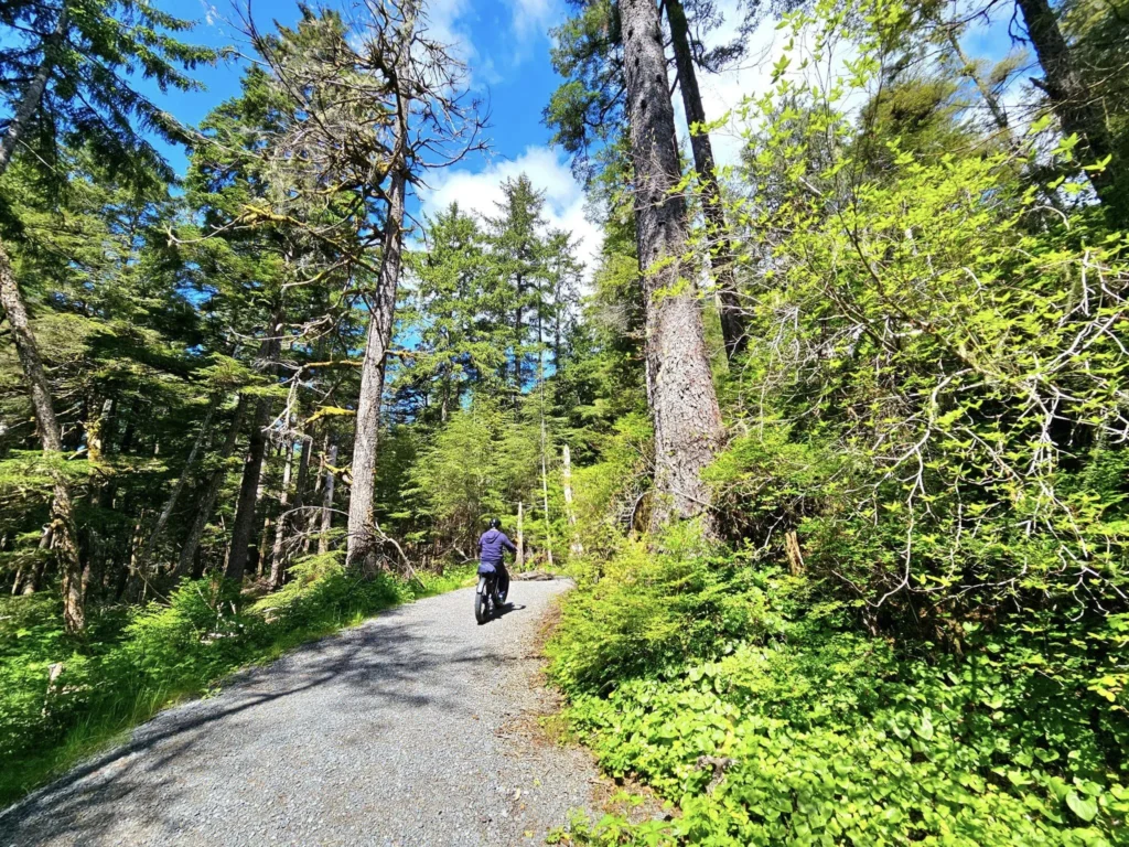 Cruising with Danny and Peter, Holland America Line, Westerdam, Sitka, Alaska, United States | Biking the scenic Sitka Cross Trail through lush Alaskan forests, capturing Sitka's natural beauty and outdoor adventure; a whale breaching in Whale Park, showcasing Sitka Alaska's wildlife; a majestic eagle soaring above, symbolizing the rich wildlife; and an intricate Tlingit totem pole representing the cultural heritage of Sitka, Alaska, all set against the stunning coastal landscape of this Alaskan gem.