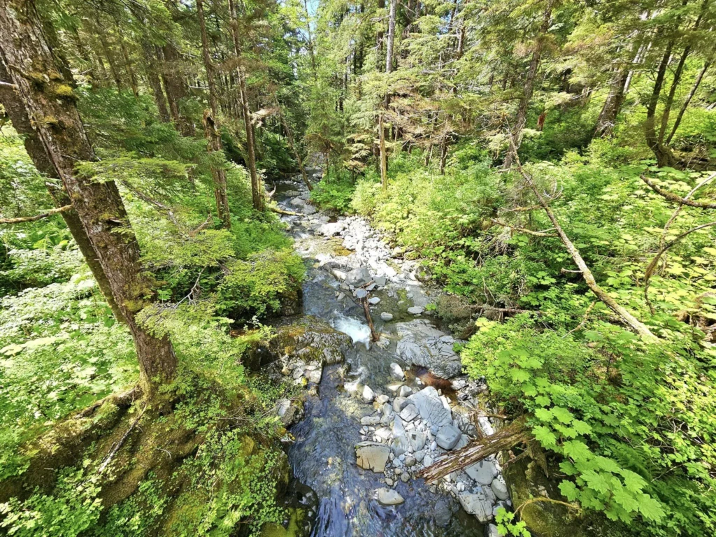 Cruising with Danny and Peter, Holland America Line, Westerdam, Sitka, Alaska, United States | Biking the scenic Sitka Cross Trail through lush Alaskan forests, capturing Sitka's natural beauty and outdoor adventure; a whale breaching in Whale Park, showcasing Sitka Alaska's wildlife; a majestic eagle soaring above, symbolizing the rich wildlife; and an intricate Tlingit totem pole representing the cultural heritage of Sitka, Alaska, all set against the stunning coastal landscape of this Alaskan gem.