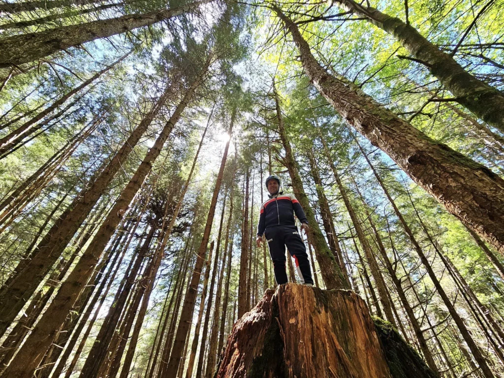 Cruising with Danny and Peter, Holland America Line, Westerdam, Sitka, Alaska, United States | Biking the scenic Sitka Cross Trail through lush Alaskan forests, capturing Sitka's natural beauty and outdoor adventure; a whale breaching in Whale Park, showcasing Sitka Alaska's wildlife; a majestic eagle soaring above, symbolizing the rich wildlife; and an intricate Tlingit totem pole representing the cultural heritage of Sitka, Alaska, all set against the stunning coastal landscape of this Alaskan gem.