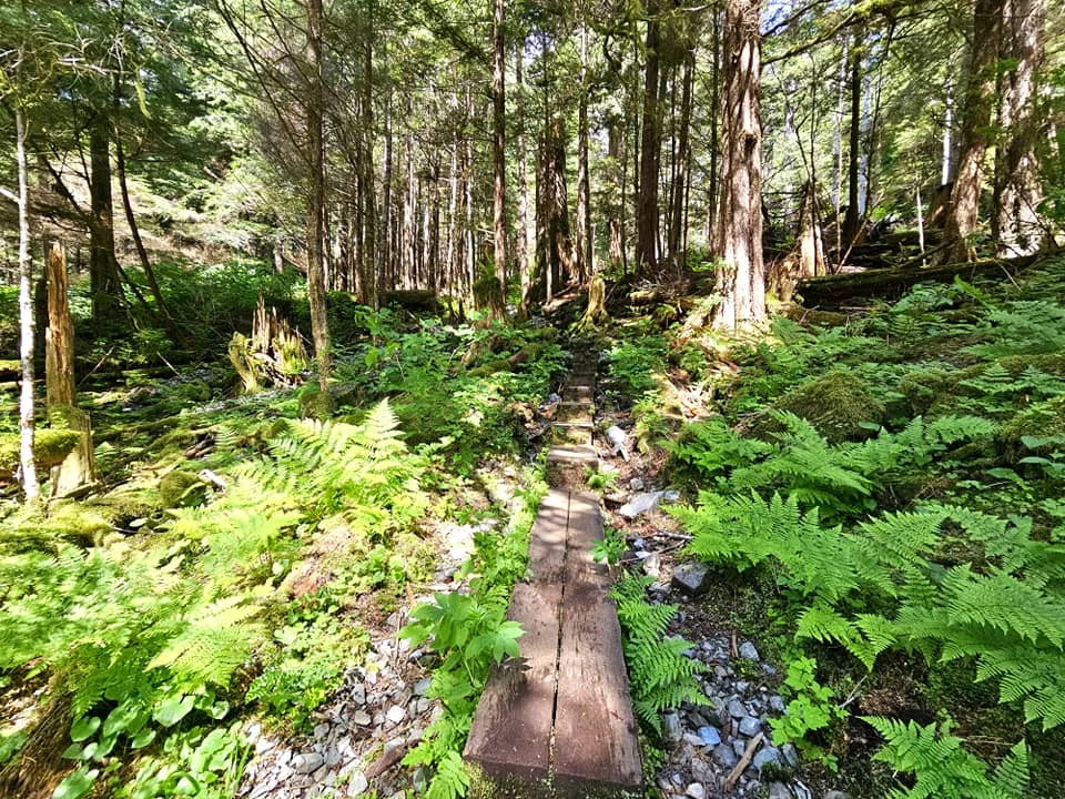 Cruising with Danny and Peter, Holland America Line, Westerdam, Sitka, Alaska, United States | Biking the scenic Sitka Cross Trail through lush Alaskan forests, capturing Sitka's natural beauty and outdoor adventure; a whale breaching in Whale Park, showcasing Sitka Alaska's wildlife; a majestic eagle soaring above, symbolizing the rich wildlife; and an intricate Tlingit totem pole representing the cultural heritage of Sitka, Alaska, all set against the stunning coastal landscape of this Alaskan gem.