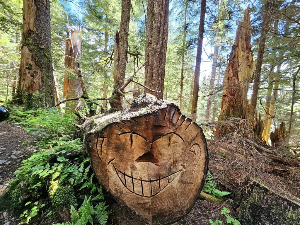 Cruising with Danny and Peter, Holland America Line, Westerdam, Sitka, Alaska, United States | Biking the scenic Sitka Cross Trail through lush Alaskan forests, capturing Sitka's natural beauty and outdoor adventure; a whale breaching in Whale Park, showcasing Sitka Alaska's wildlife; a majestic eagle soaring above, symbolizing the rich wildlife; and an intricate Tlingit totem pole representing the cultural heritage of Sitka, Alaska, all set against the stunning coastal landscape of this Alaskan gem.