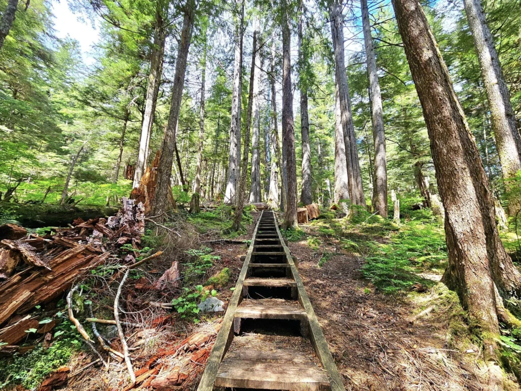 Cruising with Danny and Peter, Holland America Line, Westerdam, Sitka, Alaska, United States | Biking the scenic Sitka Cross Trail through lush Alaskan forests, capturing Sitka's natural beauty and outdoor adventure; a whale breaching in Whale Park, showcasing Sitka Alaska's wildlife; a majestic eagle soaring above, symbolizing the rich wildlife; and an intricate Tlingit totem pole representing the cultural heritage of Sitka, Alaska, all set against the stunning coastal landscape of this Alaskan gem.