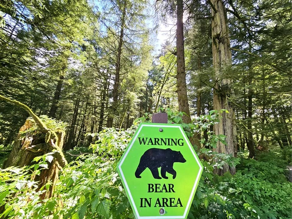 Cruising with Danny and Peter, Holland America Line, Westerdam, Sitka, Alaska, United States | Biking the scenic Sitka Cross Trail through lush Alaskan forests, capturing Sitka's natural beauty and outdoor adventure; a whale breaching in Whale Park, showcasing Sitka Alaska's wildlife; a majestic eagle soaring above, symbolizing the rich wildlife; and an intricate Tlingit totem pole representing the cultural heritage of Sitka, Alaska, all set against the stunning coastal landscape of this Alaskan gem.