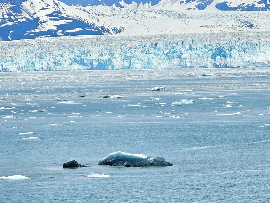 Cruising with Danny and Peter, Holland America Line, Westerdam, Hubbard Glacier, Alaska, United States | View of Hubbard Glacier from the boat during an unforgettable tour, showcasing stunning blue ice and calm Arctic waters. Thrilling ice calving event captures large chunks of ice breaking off and crashing into the water. Mirror-like reflection of the glacier on still waters highlights its majestic blue hues. A delightful picnic with the glacier in the background combines delicious food with breathtaking views, while a close-up of the glacier's intricate ice formations shows deep crevasses and jagged edges.