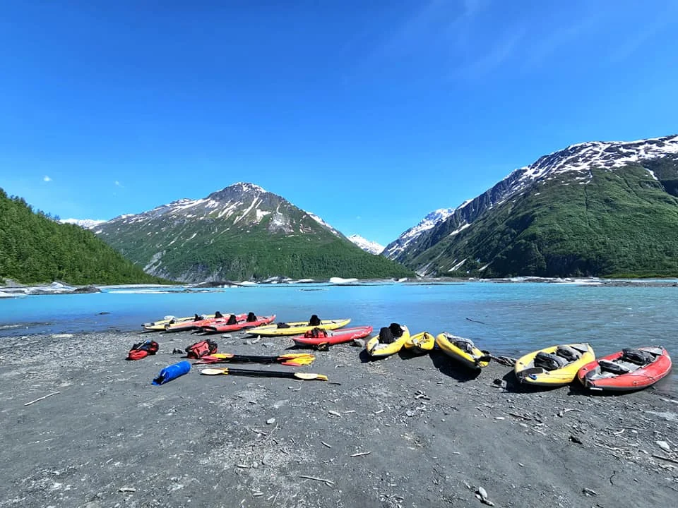 Cruising with Danny and Peter, Holland America Line, Westerdam, Prince William Sound, Valdez, Alaska, United States | A serene panorama of Prince William Sound at dawn, with the luxurious Westerdam cruise ship gliding through calm waters, surrounded by snow-capped mountains and glowing glaciers under a soft pink sky. Humpback whales breach the surface, their tails splashing against the reflective water, while sea otters float playfully in kelp beds and a bald eagle soars overhead. In Valdez Glacier Lake, vibrant blue icebergs drift peacefully, with kayakers in colorful kayaks paddling through the icy maze, dwarfed by the towering Valdez Glacier’s rugged ice face in the background. The Westerdam’s elegant deck features passengers enjoying a gourmet breakfast with panoramic views of the Alaskan wilderness, capturing the harmonious blend of luxury and nature.