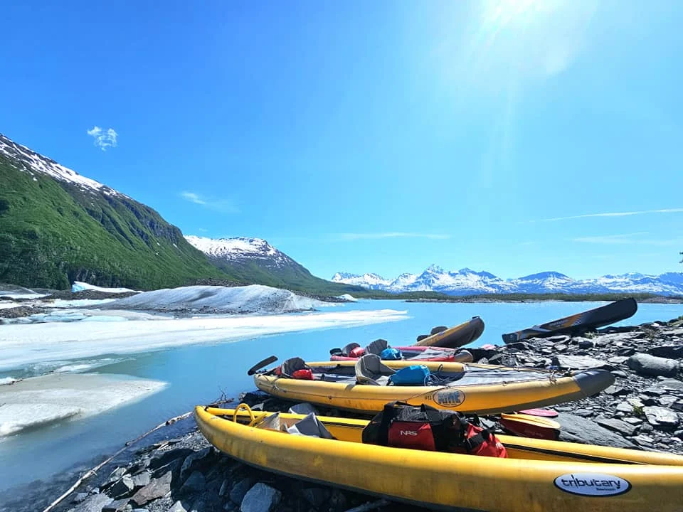Cruising with Danny and Peter, Holland America Line, Westerdam, Prince William Sound, Valdez, Alaska, United States | A serene panorama of Prince William Sound at dawn, with the luxurious Westerdam cruise ship gliding through calm waters, surrounded by snow-capped mountains and glowing glaciers under a soft pink sky. Humpback whales breach the surface, their tails splashing against the reflective water, while sea otters float playfully in kelp beds and a bald eagle soars overhead. In Valdez Glacier Lake, vibrant blue icebergs drift peacefully, with kayakers in colorful kayaks paddling through the icy maze, dwarfed by the towering Valdez Glacier’s rugged ice face in the background. The Westerdam’s elegant deck features passengers enjoying a gourmet breakfast with panoramic views of the Alaskan wilderness, capturing the harmonious blend of luxury and nature.