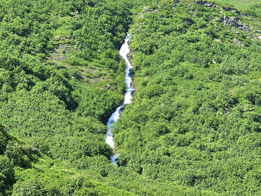 Cruising with Danny and Peter, Holland America Line, Westerdam, Prince William Sound, Valdez, Alaska, United States | A serene panorama of Prince William Sound at dawn, with the luxurious Westerdam cruise ship gliding through calm waters, surrounded by snow-capped mountains and glowing glaciers under a soft pink sky. Humpback whales breach the surface, their tails splashing against the reflective water, while sea otters float playfully in kelp beds and a bald eagle soars overhead. In Valdez Glacier Lake, vibrant blue icebergs drift peacefully, with kayakers in colorful kayaks paddling through the icy maze, dwarfed by the towering Valdez Glacier’s rugged ice face in the background. The Westerdam’s elegant deck features passengers enjoying a gourmet breakfast with panoramic views of the Alaskan wilderness, capturing the harmonious blend of luxury and nature.