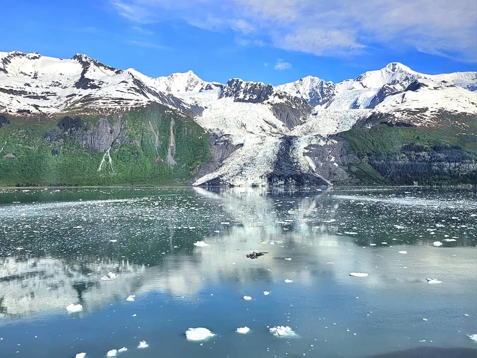 Cruising with Danny and Peter, Holland America Line, Westerdam, College Fjord, Harvard Glacier, Alaska, United States | Westerdam cruise ship sailing through College Fjord, Alaska, with the majestic Harvard Glacier in the background, showcasing stunning icy landscapes and unspoiled wilderness.