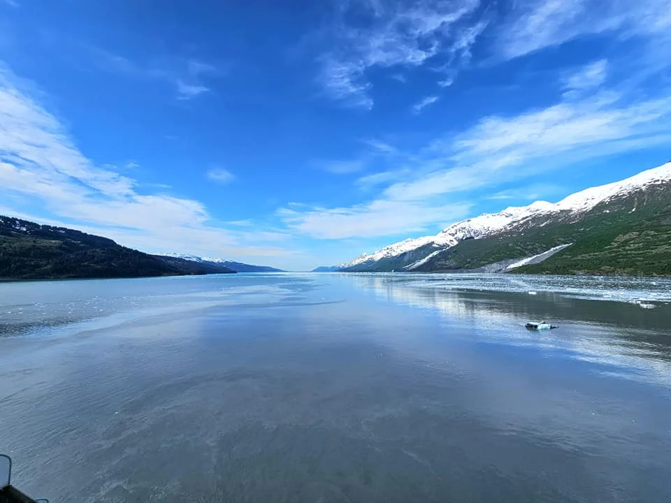 Cruising with Danny and Peter, Holland America Line, Westerdam, College Fjord, Harvard Glacier, Alaska, United States | Westerdam cruise ship sailing through College Fjord, Alaska, with the majestic Harvard Glacier in the background, showcasing stunning icy landscapes and unspoiled wilderness.