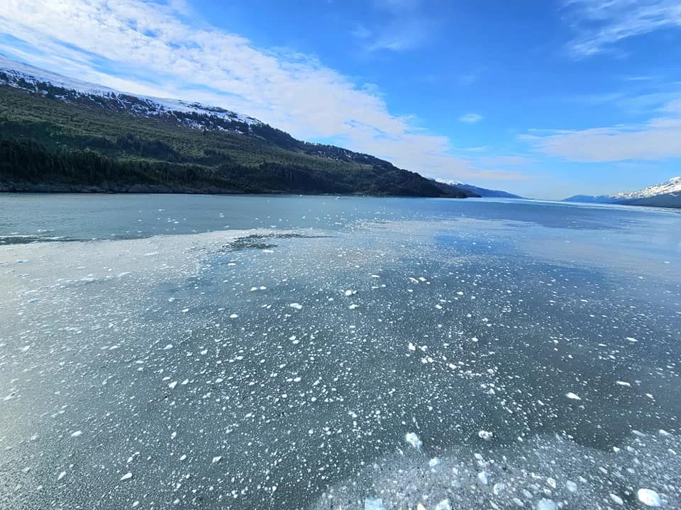Cruising with Danny and Peter, Holland America Line, Westerdam, College Fjord, Harvard Glacier, Alaska, United States | Westerdam cruise ship sailing through College Fjord, Alaska, with the majestic Harvard Glacier in the background, showcasing stunning icy landscapes and unspoiled wilderness.