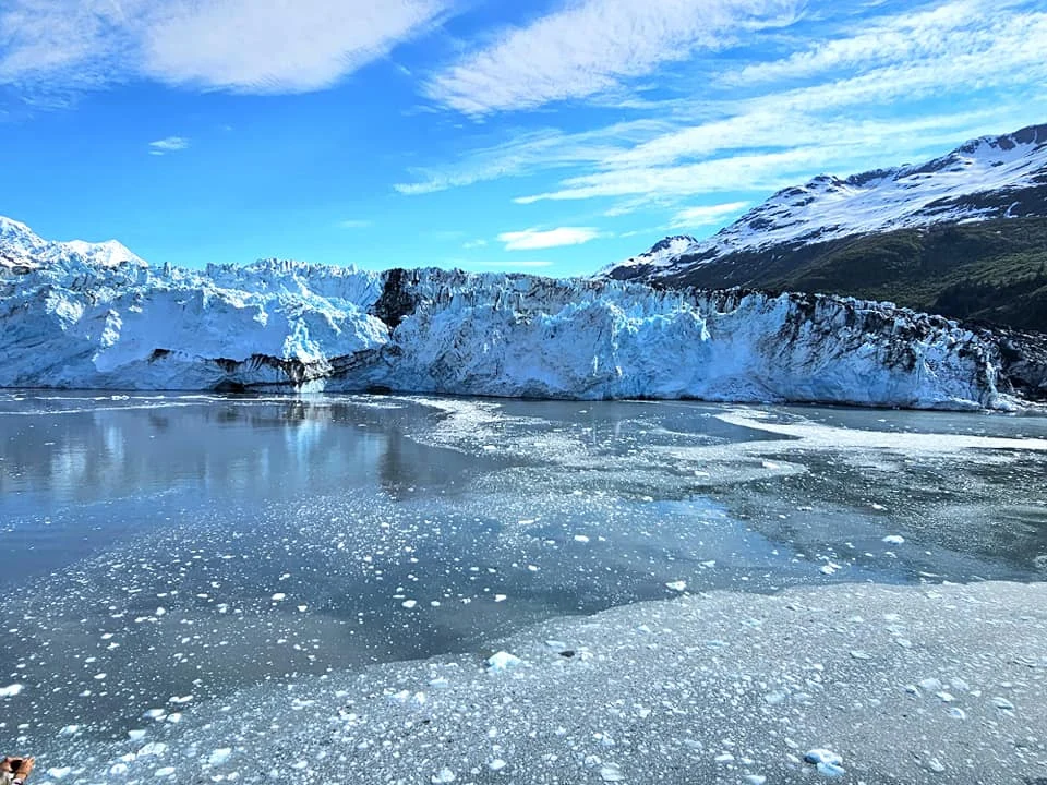 Cruising with Danny and Peter, Holland America Line, Westerdam, College Fjord, Harvard Glacier, Alaska, United States | Westerdam cruise ship sailing through College Fjord, Alaska, with the majestic Harvard Glacier in the background, showcasing stunning icy landscapes and unspoiled wilderness.