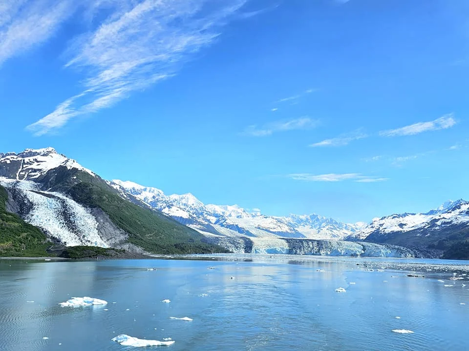 Cruising with Danny and Peter, Holland America Line, Westerdam, College Fjord, Harvard Glacier, Alaska, United States | Westerdam cruise ship sailing through College Fjord, Alaska, with the majestic Harvard Glacier in the background, showcasing stunning icy landscapes and unspoiled wilderness.