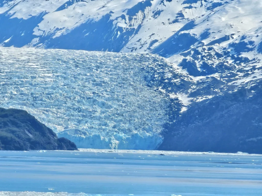 Cruising with Danny and Peter, Holland America Line, Westerdam, College Fjord, Harvard Glacier, Alaska, United States | Westerdam cruise ship sailing through College Fjord, Alaska, with the majestic Harvard Glacier in the background, showcasing stunning icy landscapes and unspoiled wilderness.