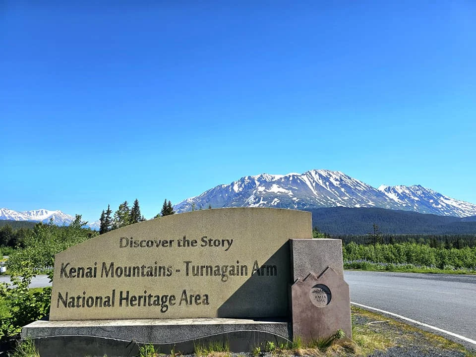 Cruising with Danny and Peter, Holland America Line, Westerdam, Seward, Alaska, United States | A panoramic view of Seward Harbor with rugged cliffs and serene waters, capturing Alaska's wilderness on a photography adventure. Travelers document vibrant wildflowers and snow-capped peaks in Chugach National Forest during an Alaska wilderness cruise. Historical remnants of the 1890 Gold Rush in Seward, including old mining equipment in lush alpine meadows, offer perfect scenes for photography enthusiasts. A majestic bald eagle soars over the tranquil waters of Seward Harbor, while senior-friendly guided tours explore accessible trails amidst stunning natural landscapes.