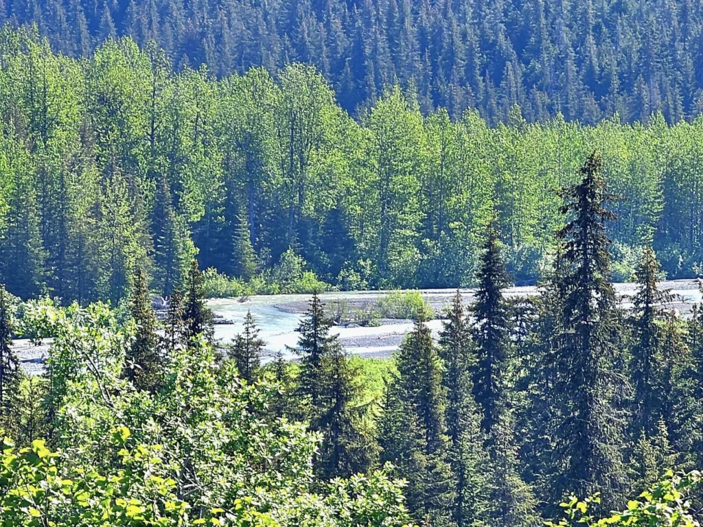Cruising with Danny and Peter, Holland America Line, Westerdam, Seward, Alaska, United States | A panoramic view of Seward Harbor with rugged cliffs and serene waters, capturing Alaska's wilderness on a photography adventure. Travelers document vibrant wildflowers and snow-capped peaks in Chugach National Forest during an Alaska wilderness cruise. Historical remnants of the 1890 Gold Rush in Seward, including old mining equipment in lush alpine meadows, offer perfect scenes for photography enthusiasts. A majestic bald eagle soars over the tranquil waters of Seward Harbor, while senior-friendly guided tours explore accessible trails amidst stunning natural landscapes.