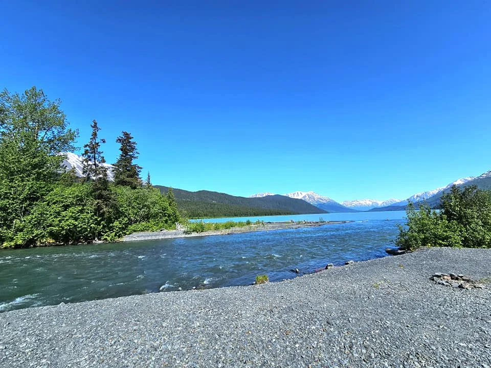 Cruising with Danny and Peter, Holland America Line, Westerdam, Seward, Alaska, United States | A panoramic view of Seward Harbor with rugged cliffs and serene waters, capturing Alaska's wilderness on a photography adventure. Travelers document vibrant wildflowers and snow-capped peaks in Chugach National Forest during an Alaska wilderness cruise. Historical remnants of the 1890 Gold Rush in Seward, including old mining equipment in lush alpine meadows, offer perfect scenes for photography enthusiasts. A majestic bald eagle soars over the tranquil waters of Seward Harbor, while senior-friendly guided tours explore accessible trails amidst stunning natural landscapes.