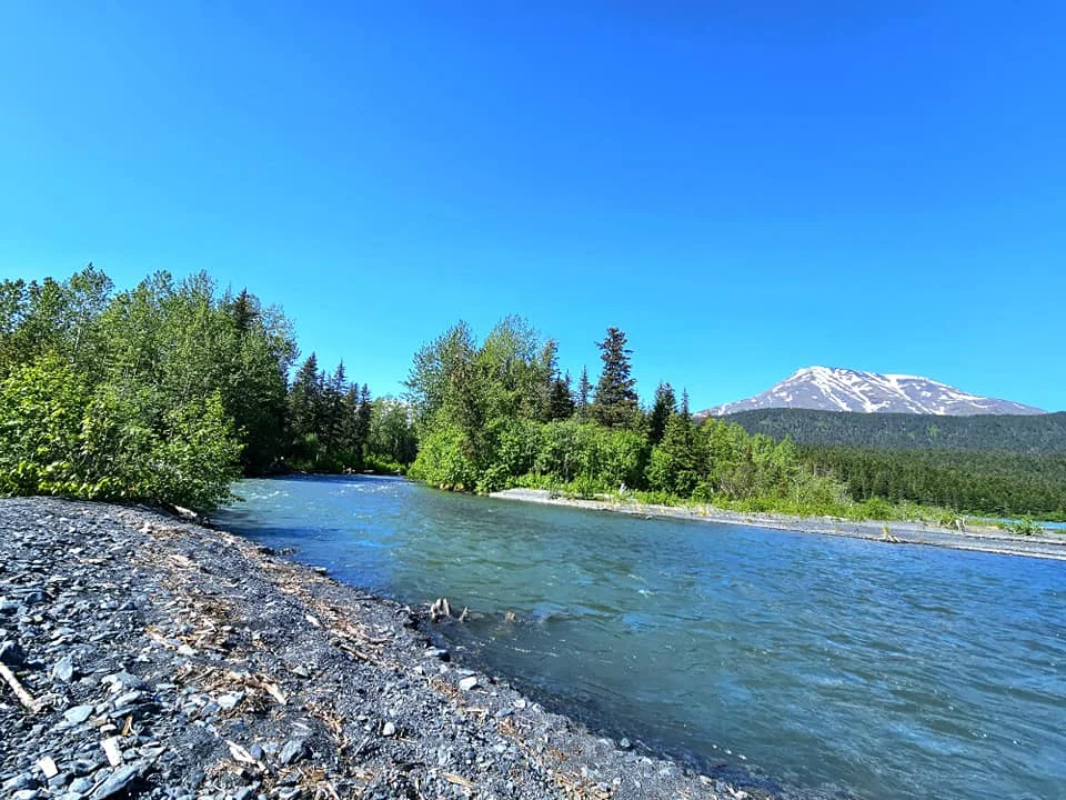 Cruising with Danny and Peter, Holland America Line, Westerdam, Seward, Alaska, United States | A panoramic view of Seward Harbor with rugged cliffs and serene waters, capturing Alaska's wilderness on a photography adventure. Travelers document vibrant wildflowers and snow-capped peaks in Chugach National Forest during an Alaska wilderness cruise. Historical remnants of the 1890 Gold Rush in Seward, including old mining equipment in lush alpine meadows, offer perfect scenes for photography enthusiasts. A majestic bald eagle soars over the tranquil waters of Seward Harbor, while senior-friendly guided tours explore accessible trails amidst stunning natural landscapes.