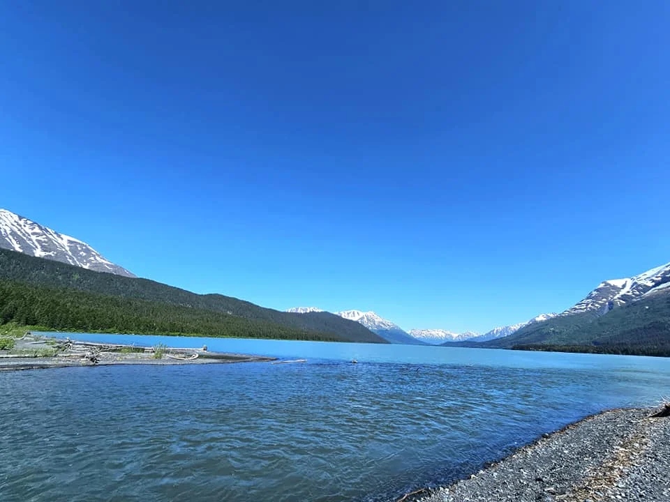 Cruising with Danny and Peter, Holland America Line, Westerdam, Seward, Alaska, United States | A panoramic view of Seward Harbor with rugged cliffs and serene waters, capturing Alaska's wilderness on a photography adventure. Travelers document vibrant wildflowers and snow-capped peaks in Chugach National Forest during an Alaska wilderness cruise. Historical remnants of the 1890 Gold Rush in Seward, including old mining equipment in lush alpine meadows, offer perfect scenes for photography enthusiasts. A majestic bald eagle soars over the tranquil waters of Seward Harbor, while senior-friendly guided tours explore accessible trails amidst stunning natural landscapes.