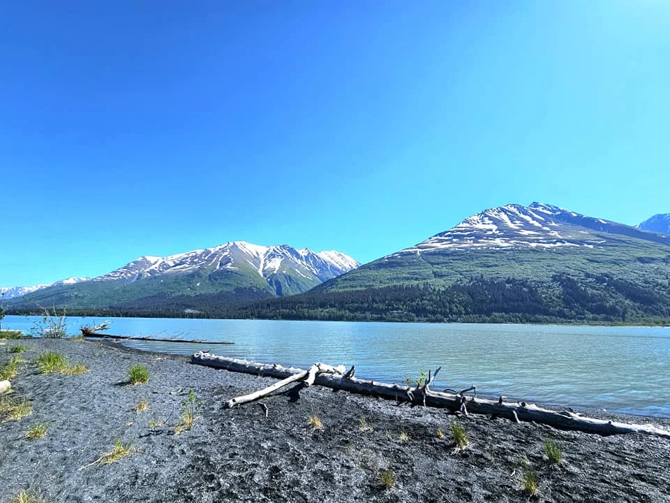 Cruising with Danny and Peter, Holland America Line, Westerdam, Seward, Alaska, United States | A panoramic view of Seward Harbor with rugged cliffs and serene waters, capturing Alaska's wilderness on a photography adventure. Travelers document vibrant wildflowers and snow-capped peaks in Chugach National Forest during an Alaska wilderness cruise. Historical remnants of the 1890 Gold Rush in Seward, including old mining equipment in lush alpine meadows, offer perfect scenes for photography enthusiasts. A majestic bald eagle soars over the tranquil waters of Seward Harbor, while senior-friendly guided tours explore accessible trails amidst stunning natural landscapes.