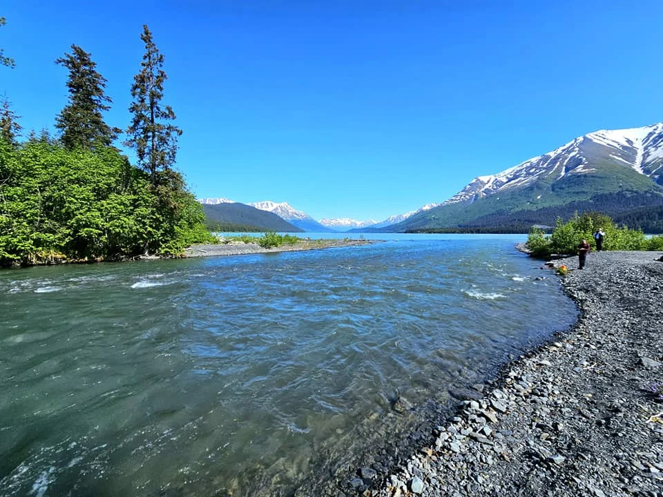 Cruising with Danny and Peter, Holland America Line, Westerdam, Seward, Alaska, United States | A panoramic view of Seward Harbor with rugged cliffs and serene waters, capturing Alaska's wilderness on a photography adventure. Travelers document vibrant wildflowers and snow-capped peaks in Chugach National Forest during an Alaska wilderness cruise. Historical remnants of the 1890 Gold Rush in Seward, including old mining equipment in lush alpine meadows, offer perfect scenes for photography enthusiasts. A majestic bald eagle soars over the tranquil waters of Seward Harbor, while senior-friendly guided tours explore accessible trails amidst stunning natural landscapes.