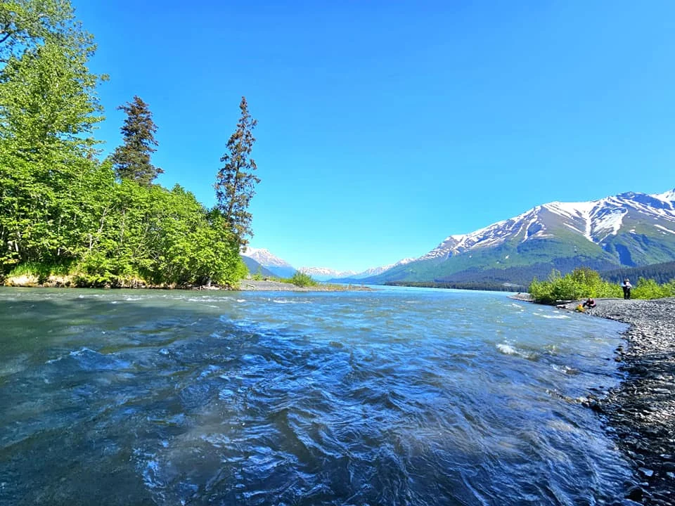 Cruising with Danny and Peter, Holland America Line, Westerdam, Seward, Alaska, United States | A panoramic view of Seward Harbor with rugged cliffs and serene waters, capturing Alaska's wilderness on a photography adventure. Travelers document vibrant wildflowers and snow-capped peaks in Chugach National Forest during an Alaska wilderness cruise. Historical remnants of the 1890 Gold Rush in Seward, including old mining equipment in lush alpine meadows, offer perfect scenes for photography enthusiasts. A majestic bald eagle soars over the tranquil waters of Seward Harbor, while senior-friendly guided tours explore accessible trails amidst stunning natural landscapes.