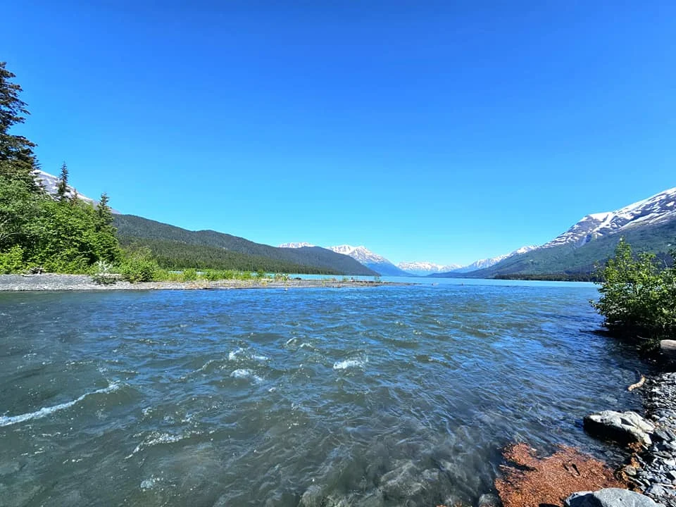 Cruising with Danny and Peter, Holland America Line, Westerdam, Seward, Alaska, United States | A panoramic view of Seward Harbor with rugged cliffs and serene waters, capturing Alaska's wilderness on a photography adventure. Travelers document vibrant wildflowers and snow-capped peaks in Chugach National Forest during an Alaska wilderness cruise. Historical remnants of the 1890 Gold Rush in Seward, including old mining equipment in lush alpine meadows, offer perfect scenes for photography enthusiasts. A majestic bald eagle soars over the tranquil waters of Seward Harbor, while senior-friendly guided tours explore accessible trails amidst stunning natural landscapes.
