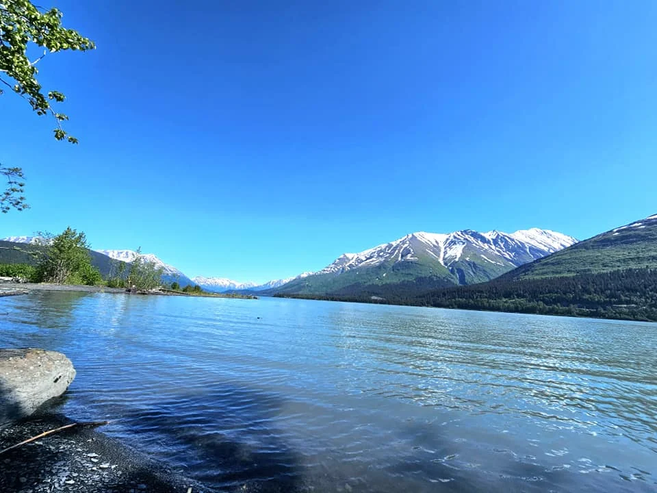 Cruising with Danny and Peter, Holland America Line, Westerdam, Seward, Alaska, United States | A panoramic view of Seward Harbor with rugged cliffs and serene waters, capturing Alaska's wilderness on a photography adventure. Travelers document vibrant wildflowers and snow-capped peaks in Chugach National Forest during an Alaska wilderness cruise. Historical remnants of the 1890 Gold Rush in Seward, including old mining equipment in lush alpine meadows, offer perfect scenes for photography enthusiasts. A majestic bald eagle soars over the tranquil waters of Seward Harbor, while senior-friendly guided tours explore accessible trails amidst stunning natural landscapes.
