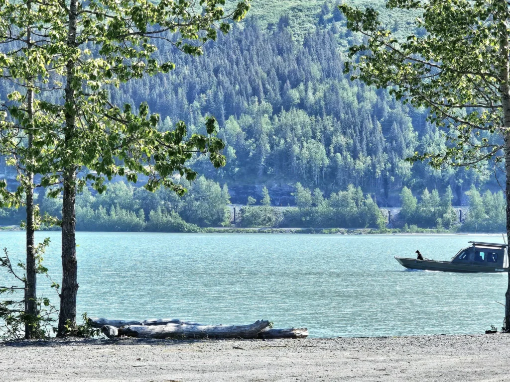 Cruising with Danny and Peter, Holland America Line, Westerdam, Seward, Alaska, United States | A panoramic view of Seward Harbor with rugged cliffs and serene waters, capturing Alaska's wilderness on a photography adventure. Travelers document vibrant wildflowers and snow-capped peaks in Chugach National Forest during an Alaska wilderness cruise. Historical remnants of the 1890 Gold Rush in Seward, including old mining equipment in lush alpine meadows, offer perfect scenes for photography enthusiasts. A majestic bald eagle soars over the tranquil waters of Seward Harbor, while senior-friendly guided tours explore accessible trails amidst stunning natural landscapes.