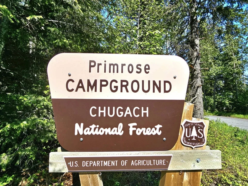 Cruising with Danny and Peter, Holland America Line, Westerdam, Seward, Alaska, United States | A panoramic view of Seward Harbor with rugged cliffs and serene waters, capturing Alaska's wilderness on a photography adventure. Travelers document vibrant wildflowers and snow-capped peaks in Chugach National Forest during an Alaska wilderness cruise. Historical remnants of the 1890 Gold Rush in Seward, including old mining equipment in lush alpine meadows, offer perfect scenes for photography enthusiasts. A majestic bald eagle soars over the tranquil waters of Seward Harbor, while senior-friendly guided tours explore accessible trails amidst stunning natural landscapes.