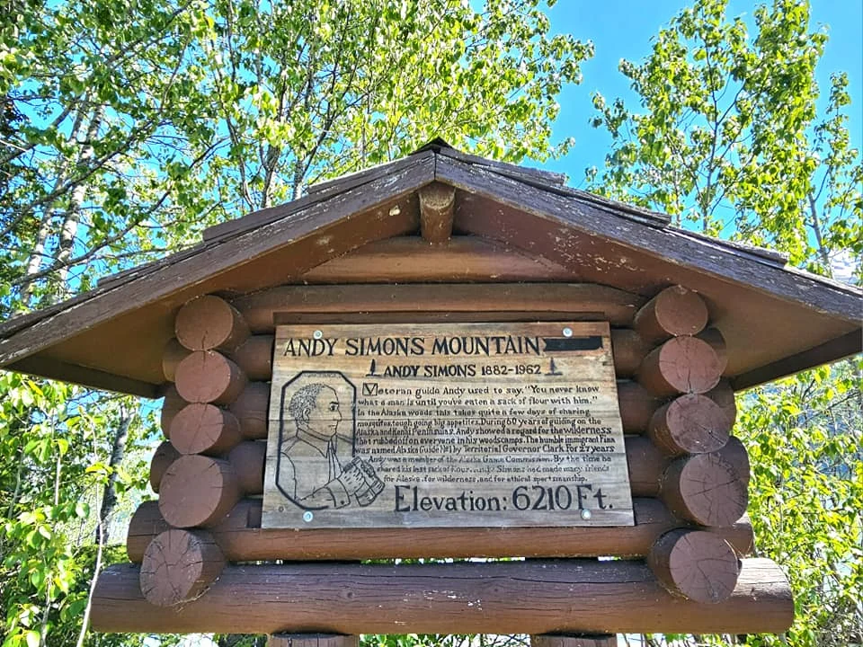 Cruising with Danny and Peter, Holland America Line, Westerdam, Seward, Alaska, United States | A panoramic view of Seward Harbor with rugged cliffs and serene waters, capturing Alaska's wilderness on a photography adventure. Travelers document vibrant wildflowers and snow-capped peaks in Chugach National Forest during an Alaska wilderness cruise. Historical remnants of the 1890 Gold Rush in Seward, including old mining equipment in lush alpine meadows, offer perfect scenes for photography enthusiasts. A majestic bald eagle soars over the tranquil waters of Seward Harbor, while senior-friendly guided tours explore accessible trails amidst stunning natural landscapes.