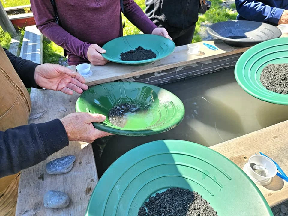 Cruising with Danny and Peter, Holland America Line, Westerdam, Seward, Alaska, United States | A panoramic view of Seward Harbor with rugged cliffs and serene waters, capturing Alaska's wilderness on a photography adventure. Travelers document vibrant wildflowers and snow-capped peaks in Chugach National Forest during an Alaska wilderness cruise. Historical remnants of the 1890 Gold Rush in Seward, including old mining equipment in lush alpine meadows, offer perfect scenes for photography enthusiasts. A majestic bald eagle soars over the tranquil waters of Seward Harbor, while senior-friendly guided tours explore accessible trails amidst stunning natural landscapes.