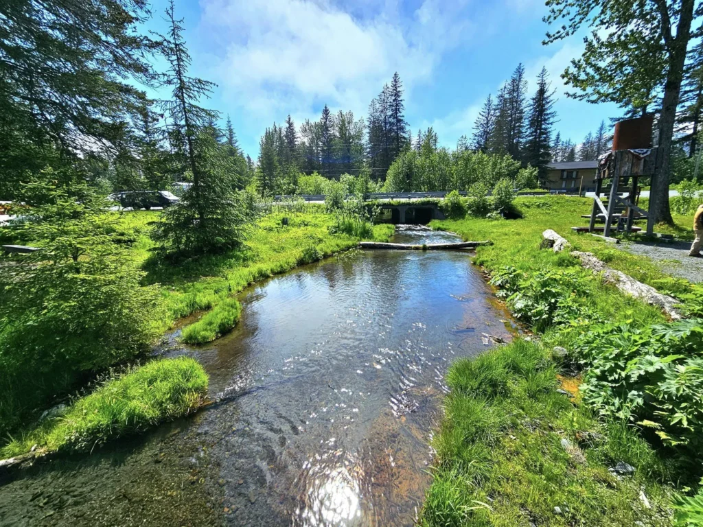 Cruising with Danny and Peter, Holland America Line, Westerdam, Seward, Alaska, United States | A panoramic view of Seward Harbor with rugged cliffs and serene waters, capturing Alaska's wilderness on a photography adventure. Travelers document vibrant wildflowers and snow-capped peaks in Chugach National Forest during an Alaska wilderness cruise. Historical remnants of the 1890 Gold Rush in Seward, including old mining equipment in lush alpine meadows, offer perfect scenes for photography enthusiasts. A majestic bald eagle soars over the tranquil waters of Seward Harbor, while senior-friendly guided tours explore accessible trails amidst stunning natural landscapes.