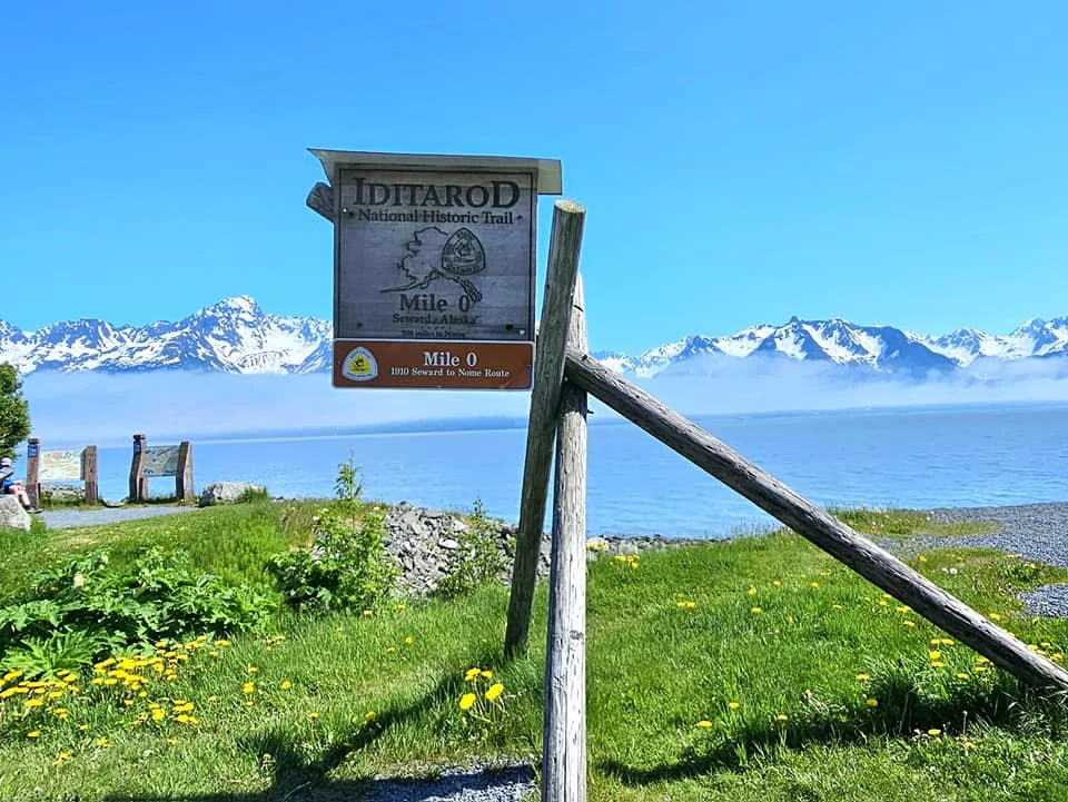 Cruising with Danny and Peter, Holland America Line, Westerdam, Seward, Alaska, United States | A panoramic view of Seward Harbor with rugged cliffs and serene waters, capturing Alaska's wilderness on a photography adventure. Travelers document vibrant wildflowers and snow-capped peaks in Chugach National Forest during an Alaska wilderness cruise. Historical remnants of the 1890 Gold Rush in Seward, including old mining equipment in lush alpine meadows, offer perfect scenes for photography enthusiasts. A majestic bald eagle soars over the tranquil waters of Seward Harbor, while senior-friendly guided tours explore accessible trails amidst stunning natural landscapes.