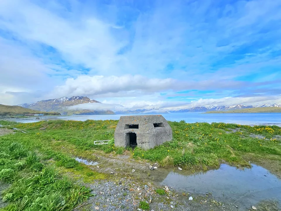 Cruising with Danny and Peter, Holland America Line, Westerdam, Dutch Harbor, Unlaska, Alaska, United States | Scenic view of Dutch Harbor Unalaska featuring rugged mountains and the Bering Sea, with a hiker on Mount Ballyhoo Trail, a majestic bald eagle soaring above, and the historic Russian Orthodox Church with its distinctive onion domes. Includes a fresh seafood dish representing local cuisine and a birdwatching spot at Unalaska Island Bird Sanctuary, capturing the charm of Unalaska's blend of natural beauty, wildlife, and cultural heritage.