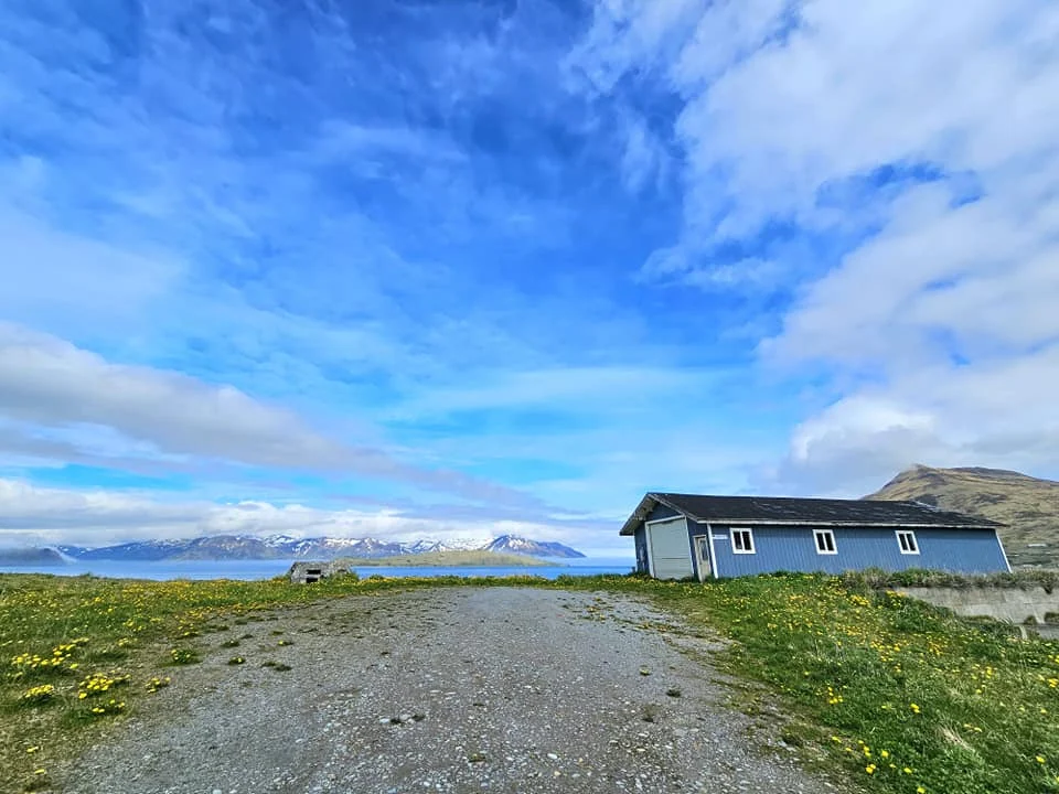 Cruising with Danny and Peter, Holland America Line, Westerdam, Dutch Harbor, Unlaska, Alaska, United States | Scenic view of Dutch Harbor Unalaska featuring rugged mountains and the Bering Sea, with a hiker on Mount Ballyhoo Trail, a majestic bald eagle soaring above, and the historic Russian Orthodox Church with its distinctive onion domes. Includes a fresh seafood dish representing local cuisine and a birdwatching spot at Unalaska Island Bird Sanctuary, capturing the charm of Unalaska's blend of natural beauty, wildlife, and cultural heritage.