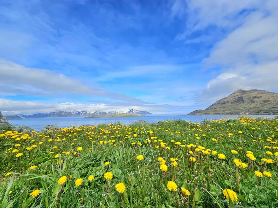 Cruising with Danny and Peter, Holland America Line, Westerdam, Dutch Harbor, Unlaska, Alaska, United States | Scenic view of Dutch Harbor Unalaska featuring rugged mountains and the Bering Sea, with a hiker on Mount Ballyhoo Trail, a majestic bald eagle soaring above, and the historic Russian Orthodox Church with its distinctive onion domes. Includes a fresh seafood dish representing local cuisine and a birdwatching spot at Unalaska Island Bird Sanctuary, capturing the charm of Unalaska's blend of natural beauty, wildlife, and cultural heritage.