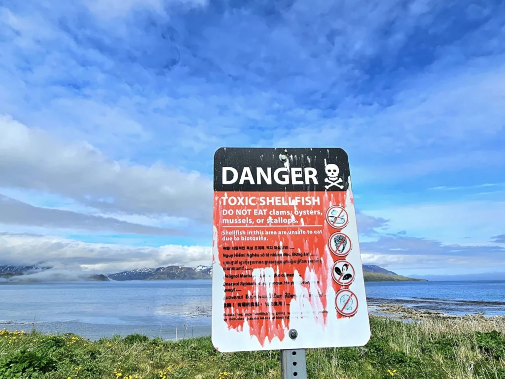 Cruising with Danny and Peter, Holland America Line, Westerdam, Dutch Harbor, Unlaska, Alaska, United States | Scenic view of Dutch Harbor Unalaska featuring rugged mountains and the Bering Sea, with a hiker on Mount Ballyhoo Trail, a majestic bald eagle soaring above, and the historic Russian Orthodox Church with its distinctive onion domes. Includes a fresh seafood dish representing local cuisine and a birdwatching spot at Unalaska Island Bird Sanctuary, capturing the charm of Unalaska's blend of natural beauty, wildlife, and cultural heritage.