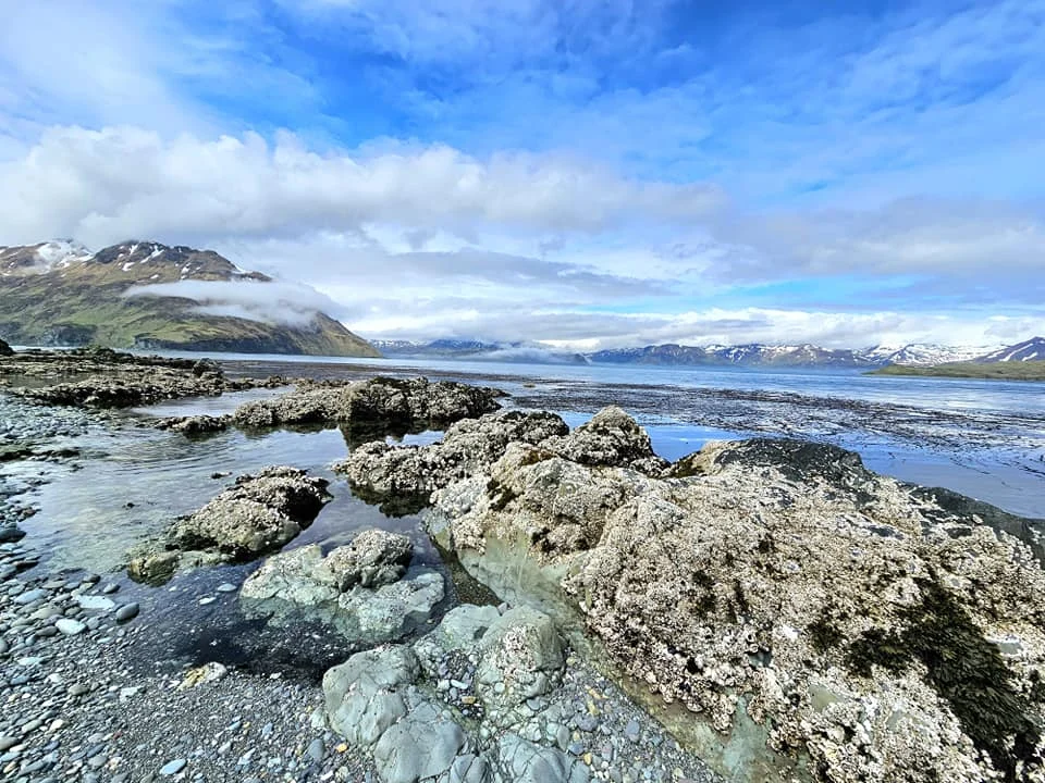 Cruising with Danny and Peter, Holland America Line, Westerdam, Dutch Harbor, Unlaska, Alaska, United States | Scenic view of Dutch Harbor Unalaska featuring rugged mountains and the Bering Sea, with a hiker on Mount Ballyhoo Trail, a majestic bald eagle soaring above, and the historic Russian Orthodox Church with its distinctive onion domes. Includes a fresh seafood dish representing local cuisine and a birdwatching spot at Unalaska Island Bird Sanctuary, capturing the charm of Unalaska's blend of natural beauty, wildlife, and cultural heritage.