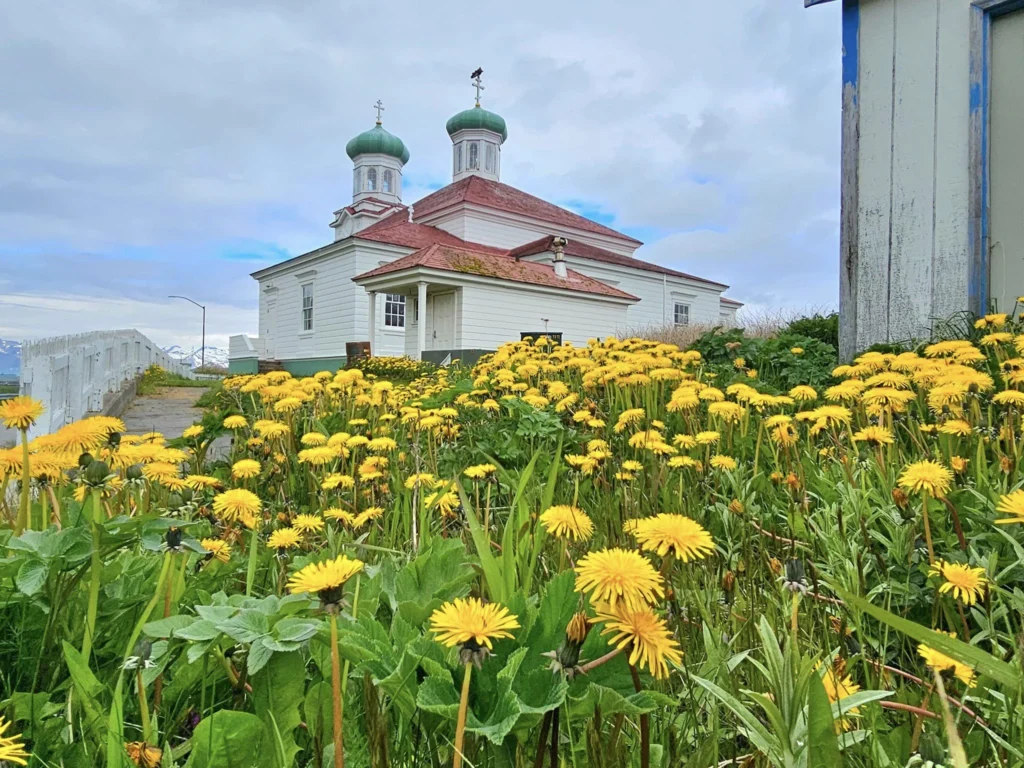 Cruising with Danny and Peter, Holland America Line, Westerdam, Dutch Harbor, Unlaska, Alaska, United States | Scenic view of Dutch Harbor Unalaska featuring rugged mountains and the Bering Sea, with a hiker on Mount Ballyhoo Trail, a majestic bald eagle soaring above, and the historic Russian Orthodox Church with its distinctive onion domes. Includes a fresh seafood dish representing local cuisine and a birdwatching spot at Unalaska Island Bird Sanctuary, capturing the charm of Unalaska's blend of natural beauty, wildlife, and cultural heritage.