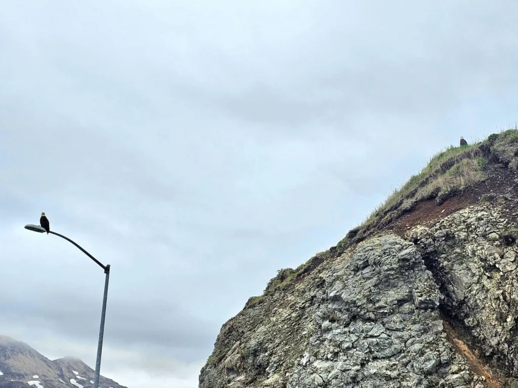 Cruising with Danny and Peter, Holland America Line, Westerdam, Dutch Harbor, Unlaska, Alaska, United States | Scenic view of Dutch Harbor Unalaska featuring rugged mountains and the Bering Sea, with a hiker on Mount Ballyhoo Trail, a majestic bald eagle soaring above, and the historic Russian Orthodox Church with its distinctive onion domes. Includes a fresh seafood dish representing local cuisine and a birdwatching spot at Unalaska Island Bird Sanctuary, capturing the charm of Unalaska's blend of natural beauty, wildlife, and cultural heritage.