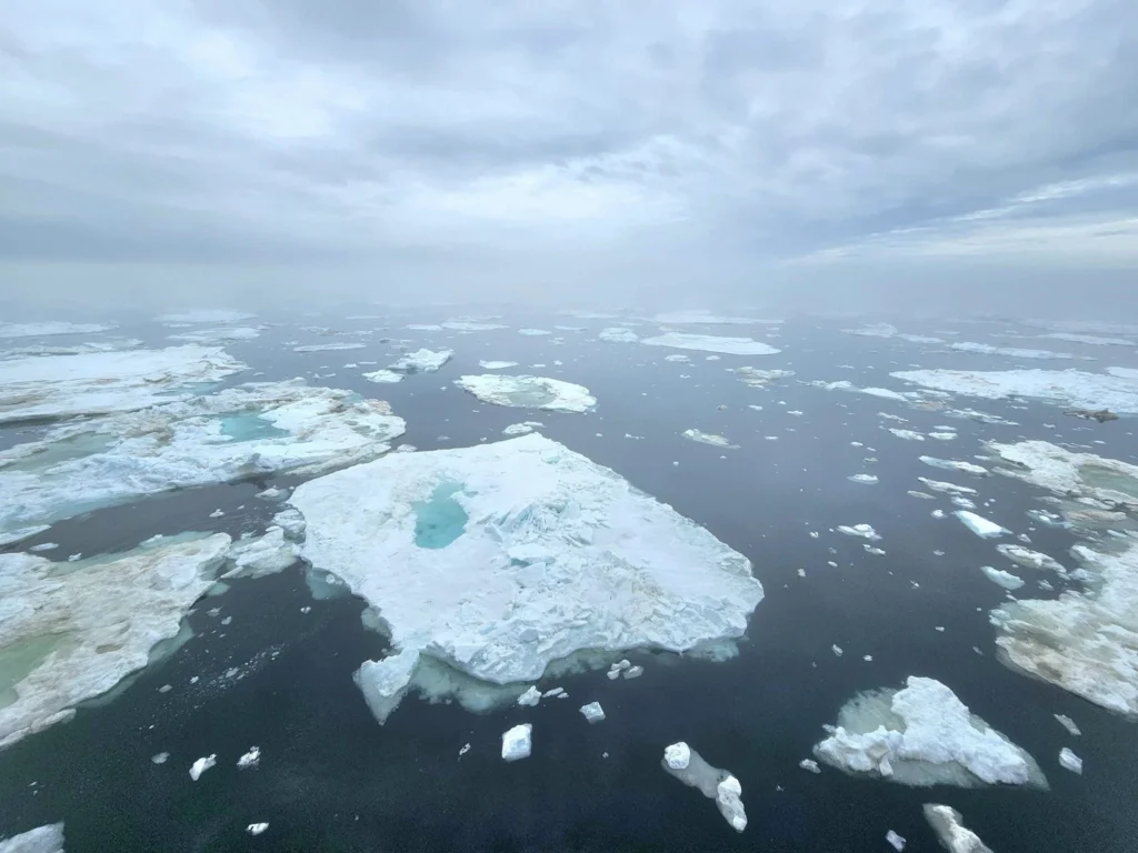 Cruising with Danny and Peter, Holland America Line, Westerdam, Bering Sea, Alaska, United States, Arctic Circle Adventure | A vibrant scene aboard Holland America Line’s Westerdam during the Alaska Arctic Circle Solstice cruise in the Bering Sea, Alaska, United States. Passengers gather around the Lido pool, preparing for the exhilarating Polar Bear Plunge, with crew members setting up the chilled pool to simulate Arctic waters. In the background, stunning Arctic landscapes unfold, featuring pristine ice floes floating on deep blue waters under a golden-hued sky, with distant glaciers and occasional wildlife, such as seals and seabirds, enhancing the untamed beauty of the Frozen Sea Adventure.