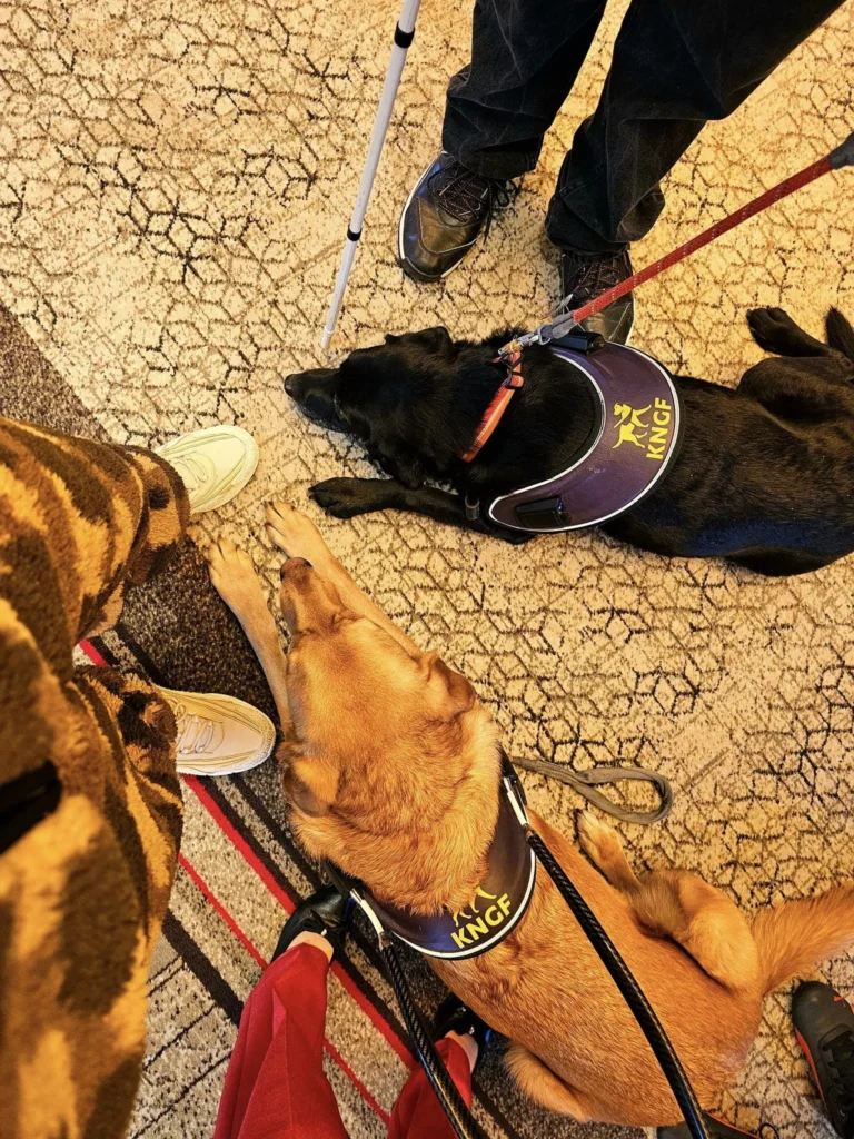 Cruising with Danny and Peter, Holland America Line, Westerdam, Bering Sea, Alaska, United States, Arctic Circle Adventure | A vibrant scene aboard Holland America Line’s Westerdam during the Alaska Arctic Circle Solstice cruise in the Bering Sea, Alaska, United States. Passengers gather around the Lido pool, preparing for the exhilarating Polar Bear Plunge, with crew members setting up the chilled pool to simulate Arctic waters. In the background, stunning Arctic landscapes unfold, featuring pristine ice floes floating on deep blue waters under a golden-hued sky, with distant glaciers and occasional wildlife, such as seals and seabirds, enhancing the untamed beauty of the Frozen Sea Adventure.