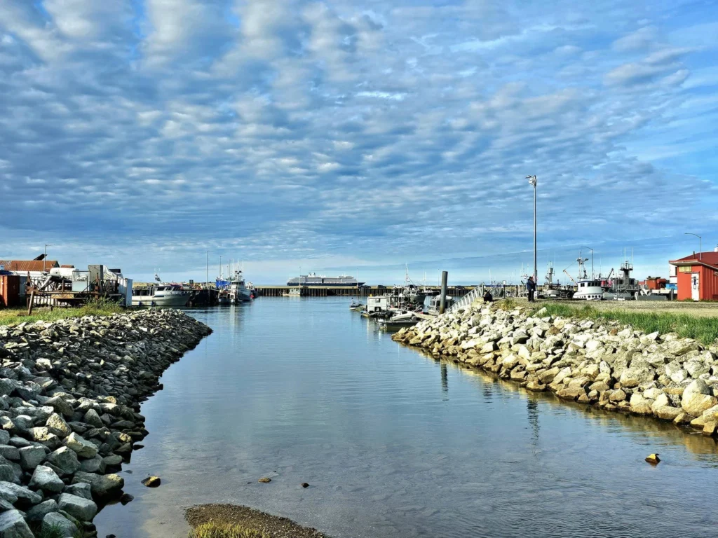 Discovering Newton Peak Hike in Nome, Alaska: A Comprehensive Adventure Guide 12 Cruising with Danny and Peter, Holland America Line, Westerdam, Nome, Alaska, United States | Scenic images of the Newton Peak Hike in Nome, Alaska, including the trailhead marking the start of the adventure, hikers ascending the challenging terrain, panoramic summit views of rolling hills and the Bering Sea, wildlife like curious squirrels and soaring birds along the trail, and vibrant wildflowers adding color to the rugged landscape.