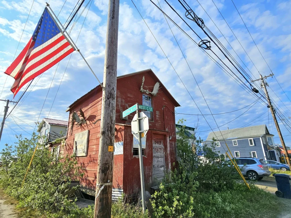 Discovering Newton Peak Hike in Nome, Alaska: A Comprehensive Adventure Guide 15 Cruising with Danny and Peter, Holland America Line, Westerdam, Nome, Alaska, United States | Scenic images of the Newton Peak Hike in Nome, Alaska, including the trailhead marking the start of the adventure, hikers ascending the challenging terrain, panoramic summit views of rolling hills and the Bering Sea, wildlife like curious squirrels and soaring birds along the trail, and vibrant wildflowers adding color to the rugged landscape.