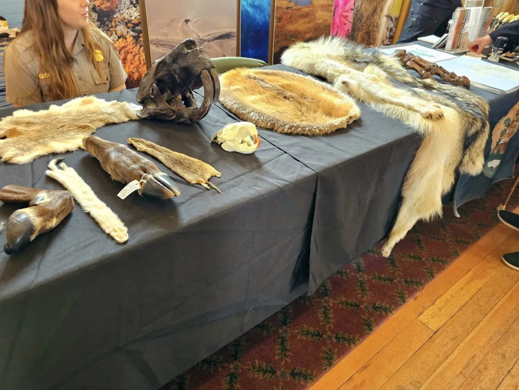 Discovering Newton Peak Hike in Nome, Alaska: A Comprehensive Adventure Guide 39 Cruising with Danny and Peter, Holland America Line, Westerdam, Nome, Alaska, United States | Scenic images of the Newton Peak Hike in Nome, Alaska, including the trailhead marking the start of the adventure, hikers ascending the challenging terrain, panoramic summit views of rolling hills and the Bering Sea, wildlife like curious squirrels and soaring birds along the trail, and vibrant wildflowers adding color to the rugged landscape.