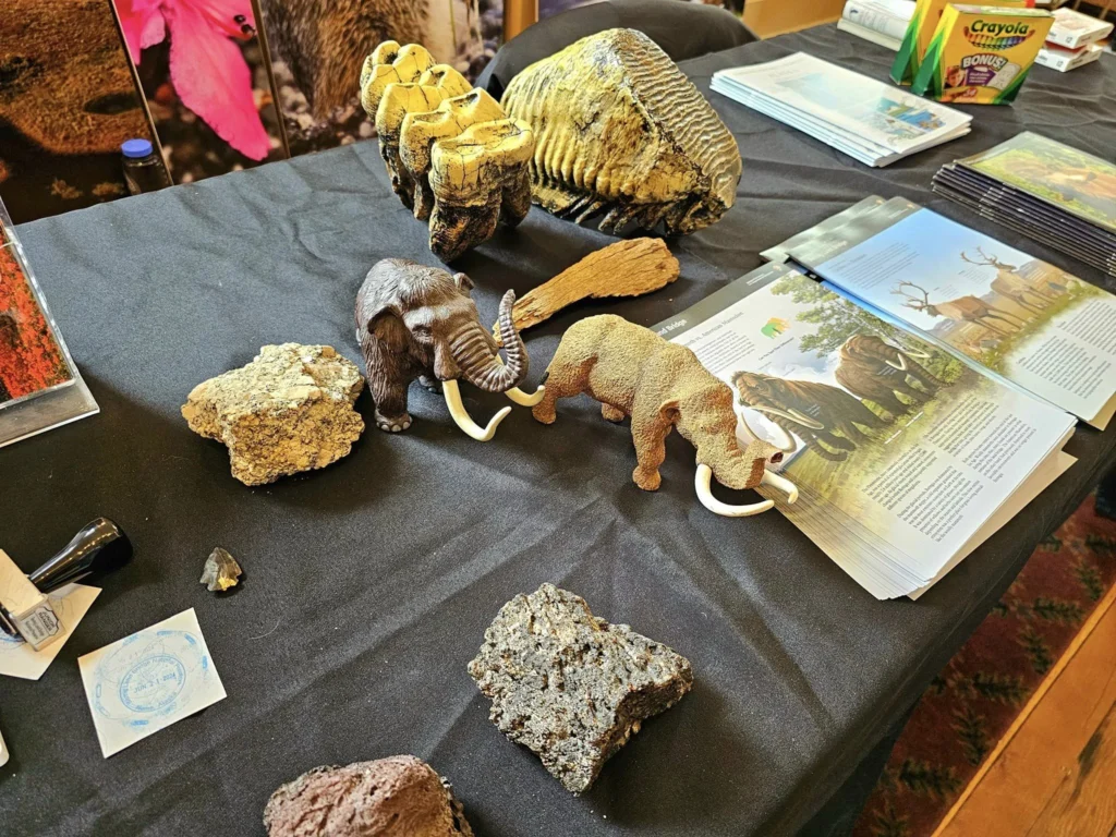 Discovering Newton Peak Hike in Nome, Alaska: A Comprehensive Adventure Guide 41 Cruising with Danny and Peter, Holland America Line, Westerdam, Nome, Alaska, United States | Scenic images of the Newton Peak Hike in Nome, Alaska, including the trailhead marking the start of the adventure, hikers ascending the challenging terrain, panoramic summit views of rolling hills and the Bering Sea, wildlife like curious squirrels and soaring birds along the trail, and vibrant wildflowers adding color to the rugged landscape.